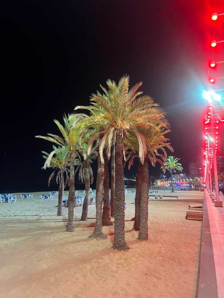 IMAGE 2026-01-28 00:56:09