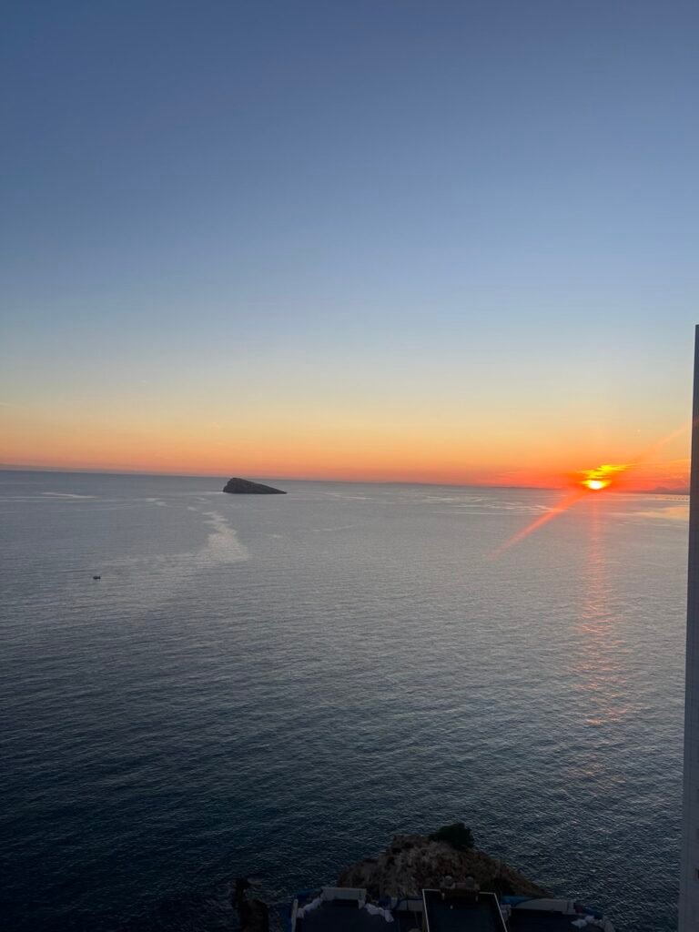 IMAGE 2026-01-28 00:56:17