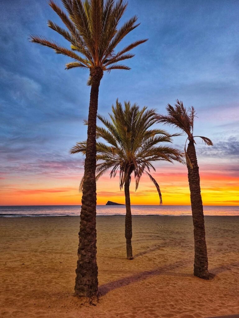 IMAGE 2026-01-28 00:56:29